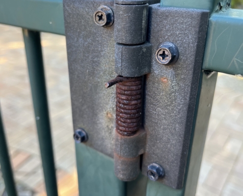 Pool Gate Hinges