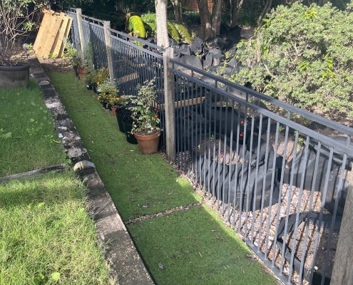 Pot Plants Around Pool Fences