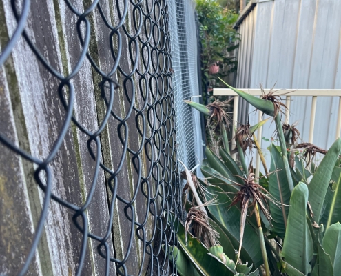 Southport Pool Compliance Case Study