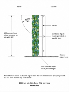 Pool safety diagram showing vegetation and potential climbing hazards near an 1800mm pool barrier.