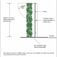 Pool safety diagram showing vegetation and potential climbing hazards near an 1800mm pool barrier.